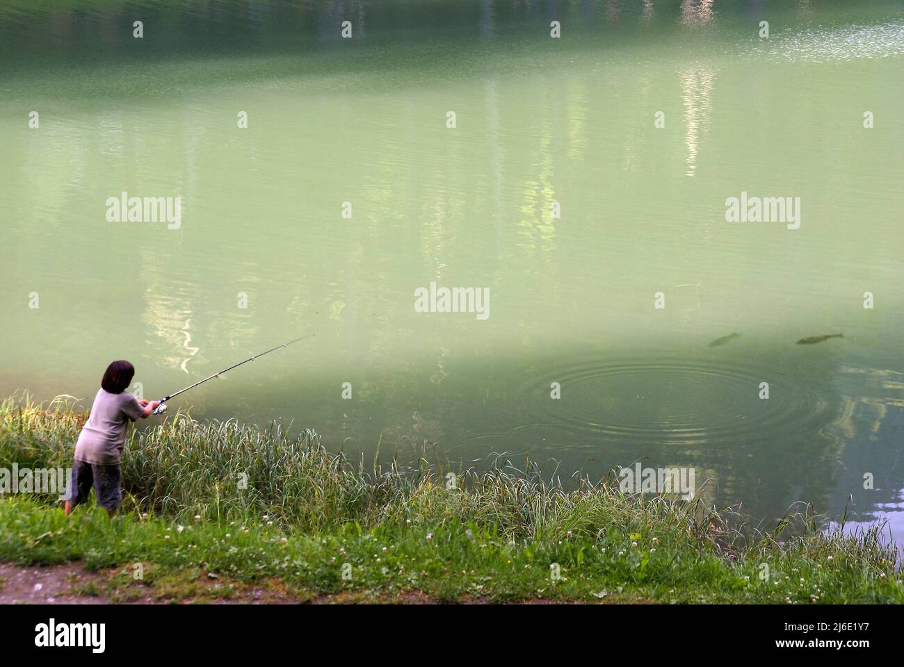 Hope springs hires stock photography and images Alamy