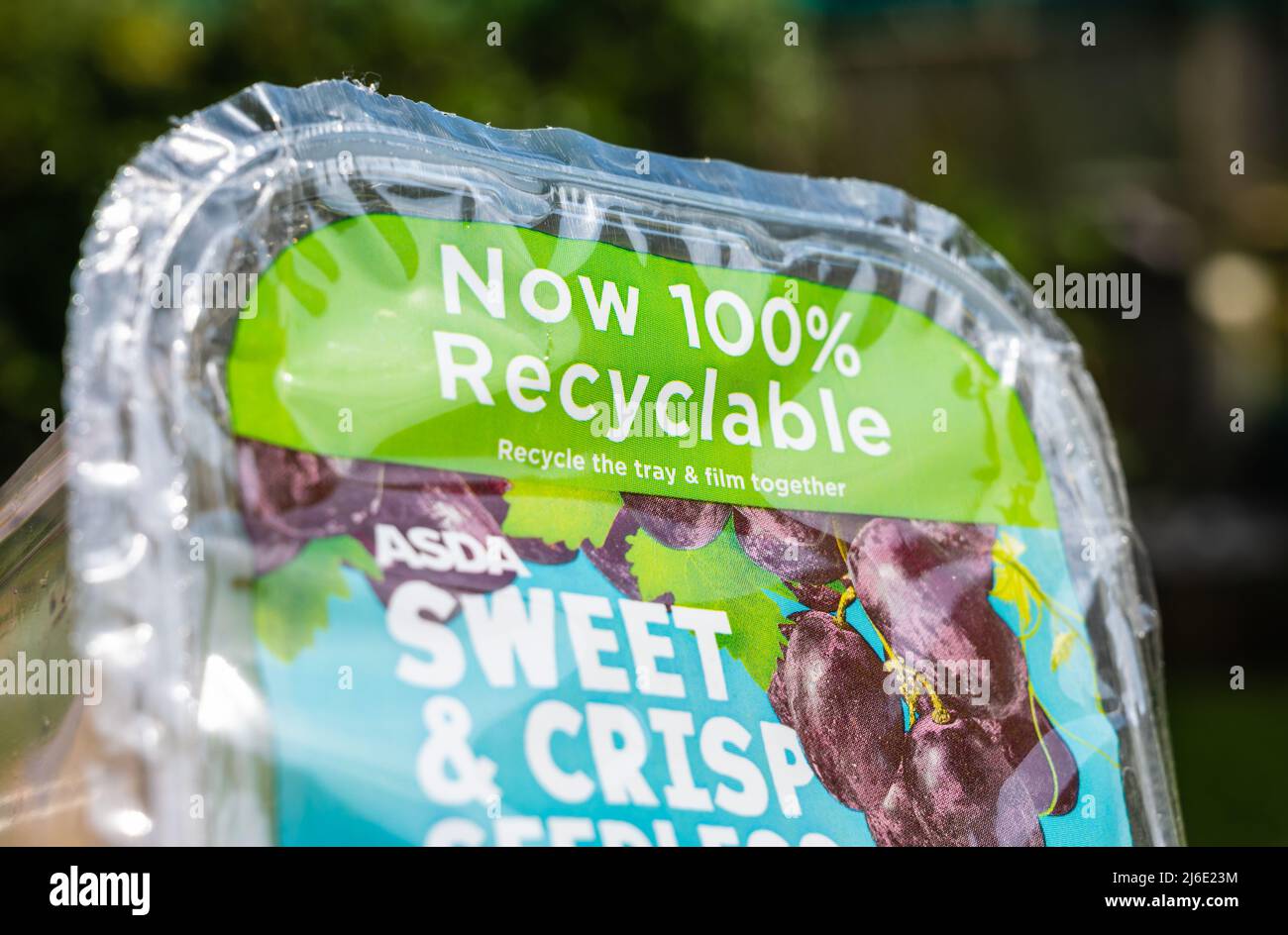 Food packaging for grapes from a British UK grocery store claiming to be 100% recyclable. Stock Photo