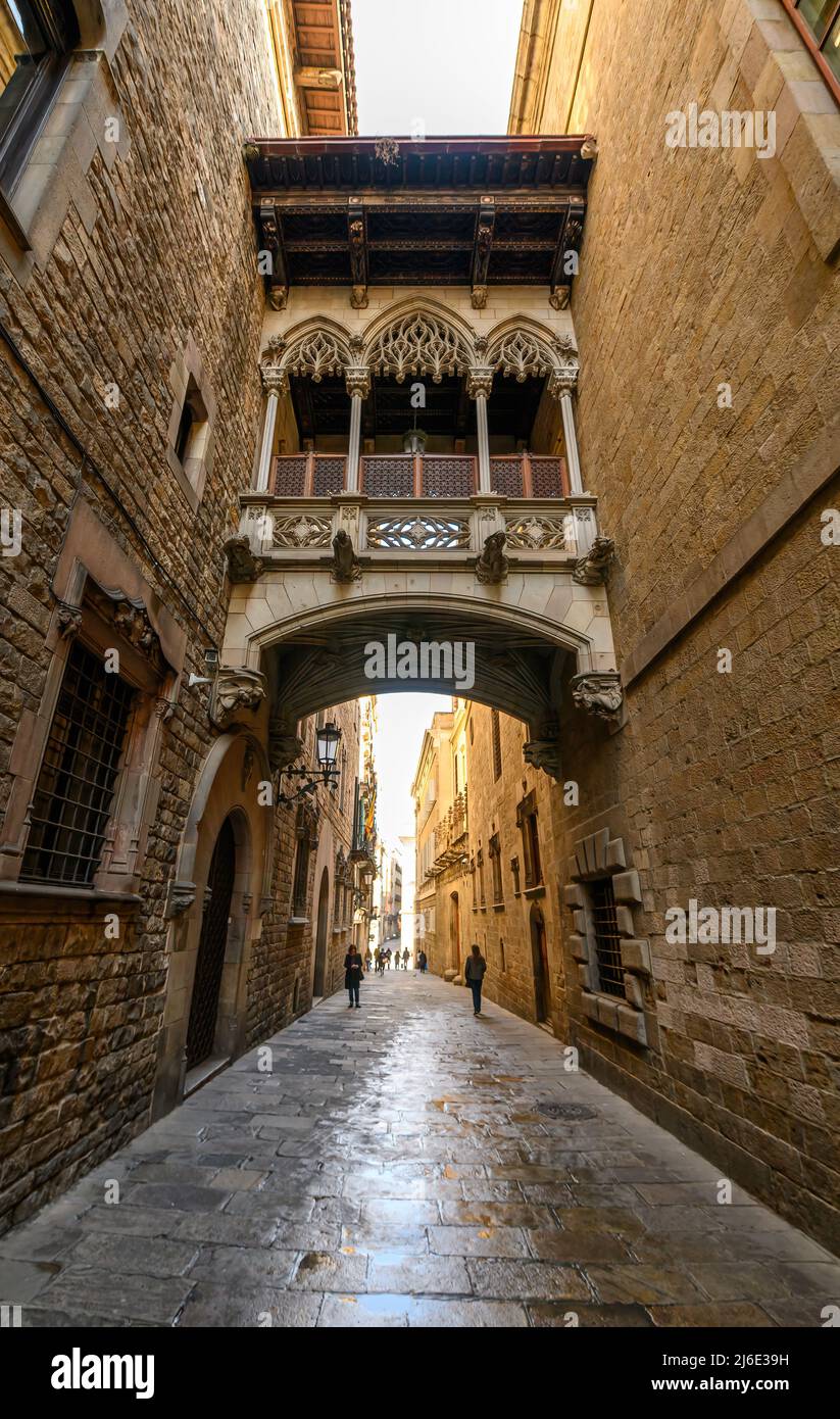 El Pont del Bisbe Bridge) in Barcelona, Spain Stock Photo Alamy