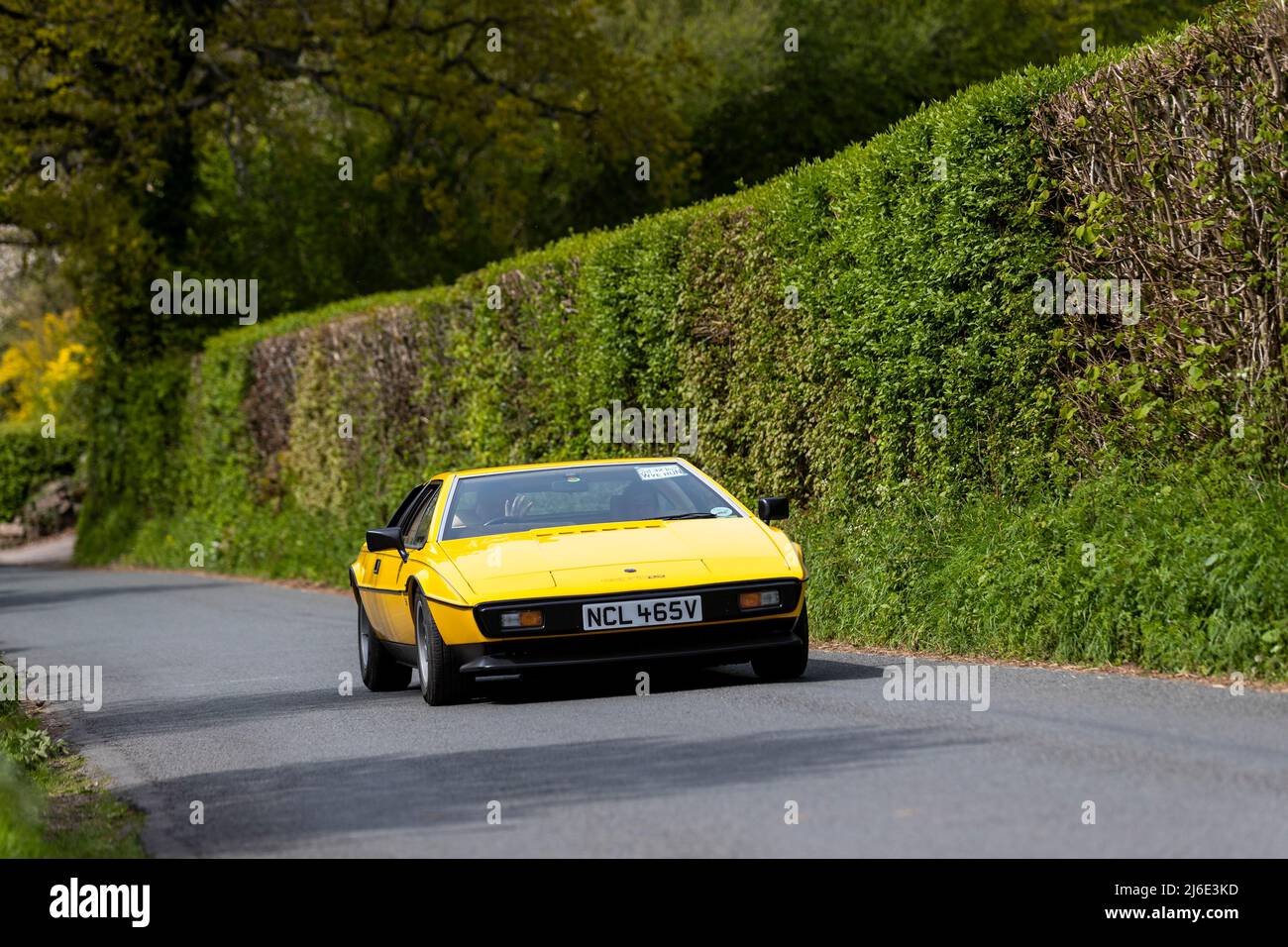 Various marques taking part in the classic cars springtime Rotary Club ...