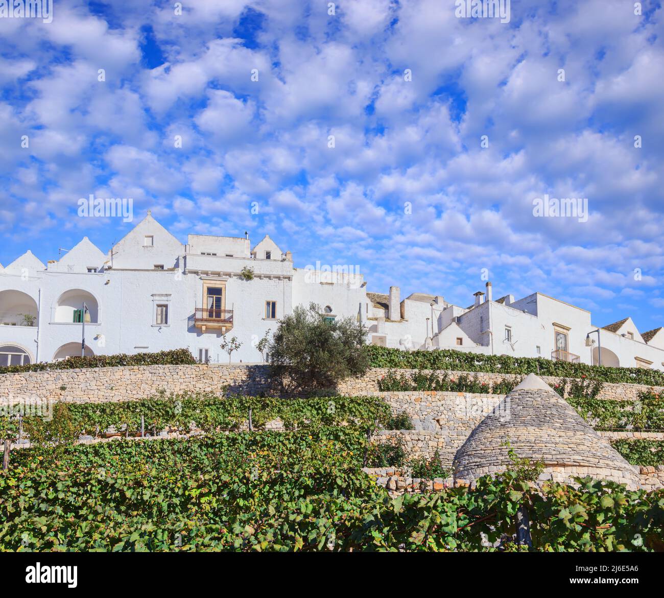 The most beautiful old towns in Italy: Locorotondo, laid on the top of a hill, has one of the most suggestive skylines of Apulia. Stock Photo
