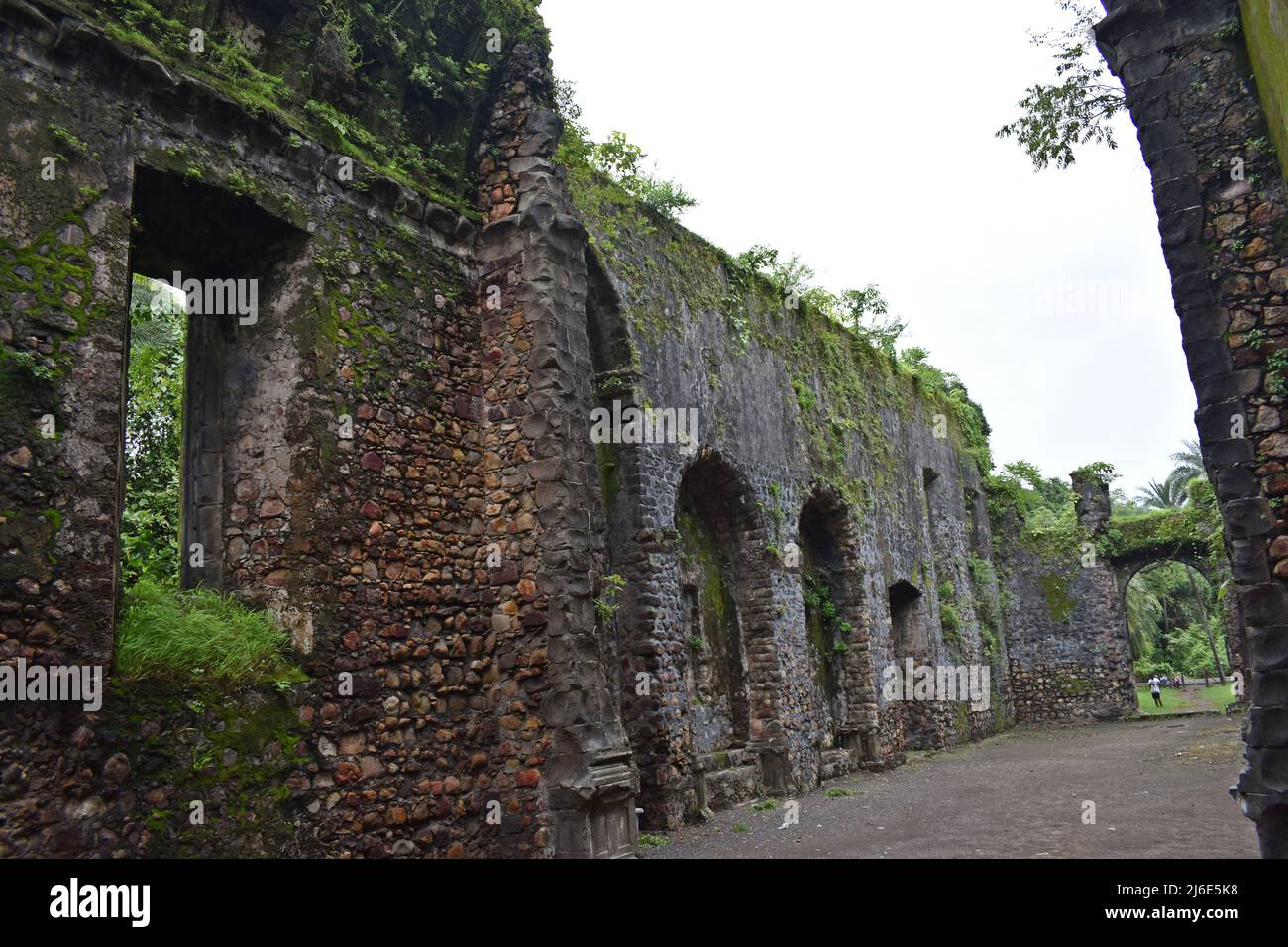 ruins of vasai fort, maharashtra, india Stock Photo Alamy