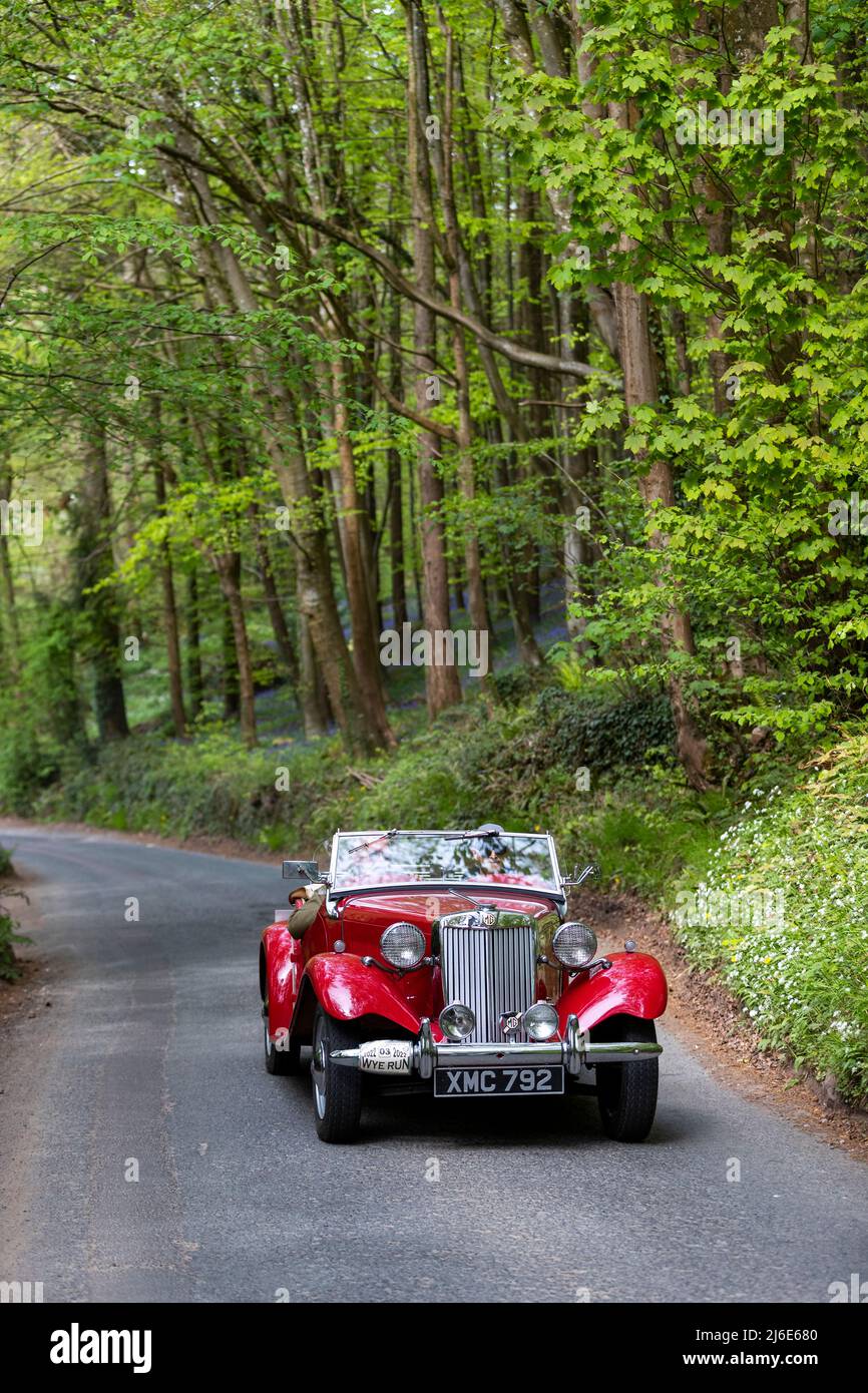 MG T Series taking part in the classic cars springtime Rotary Club ...