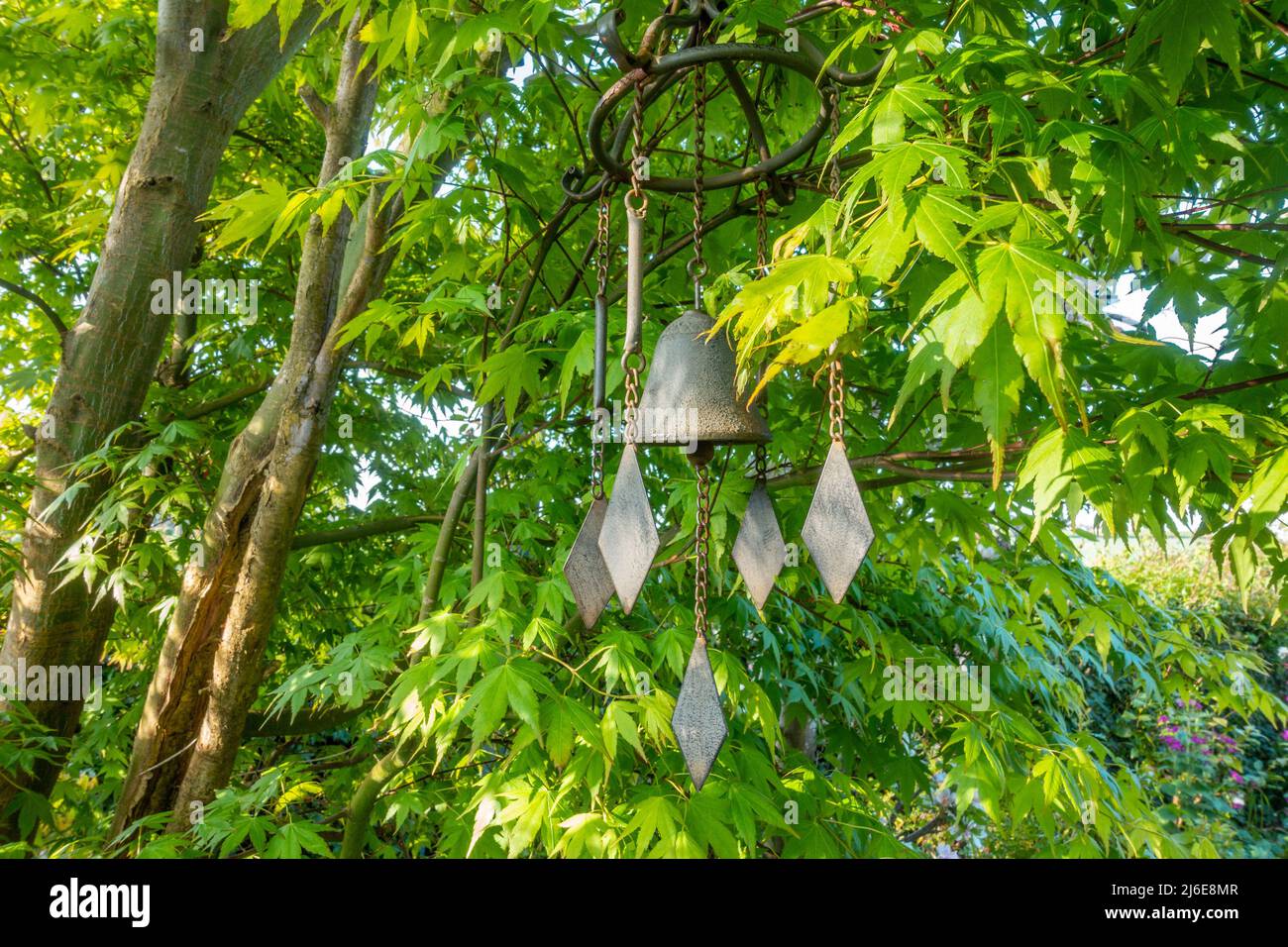 A wind chime garden ornament hanging from a Japanese maple tree in a garden Stock Photo