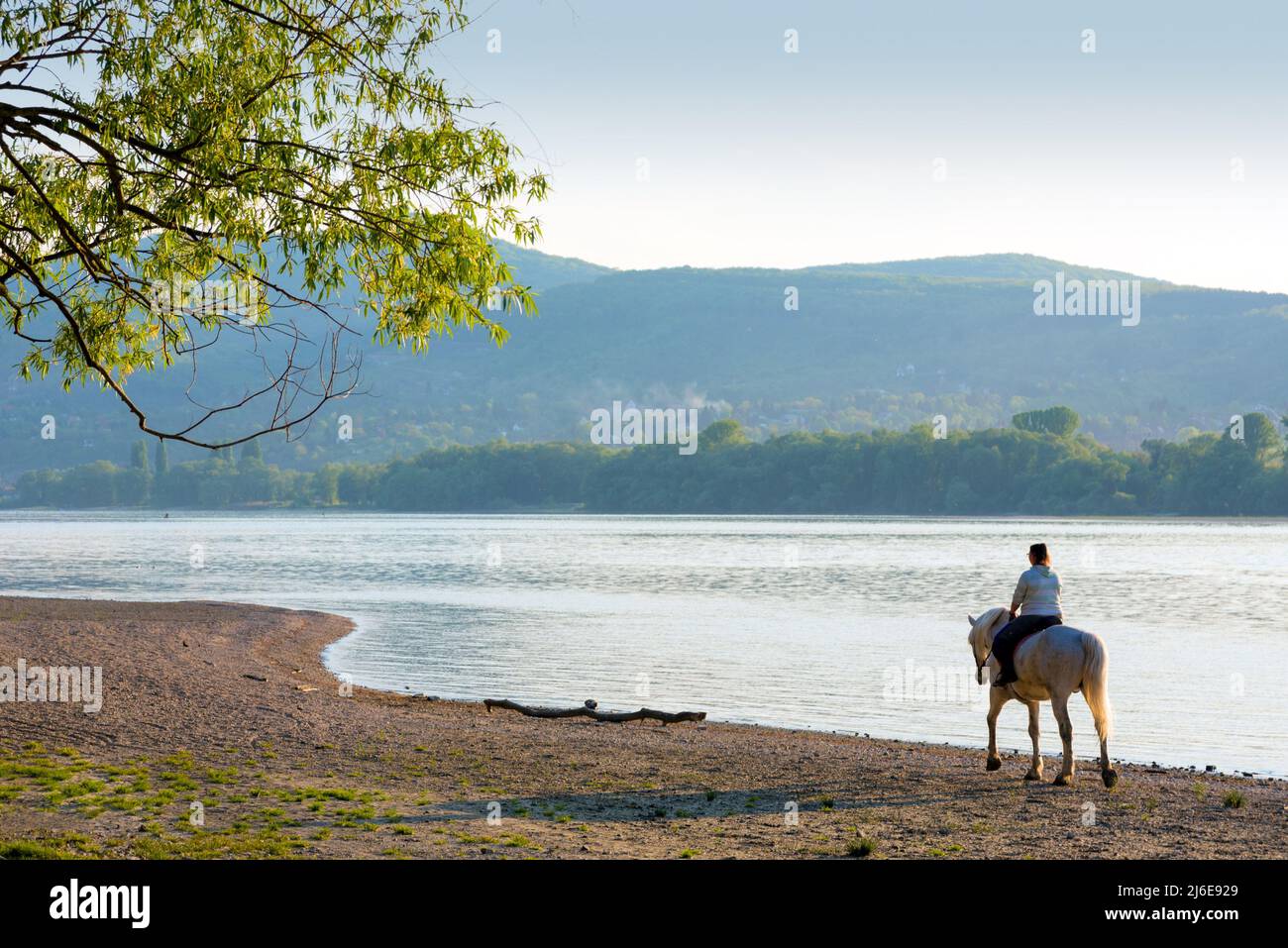Horse riding on the river beach Stock Photo