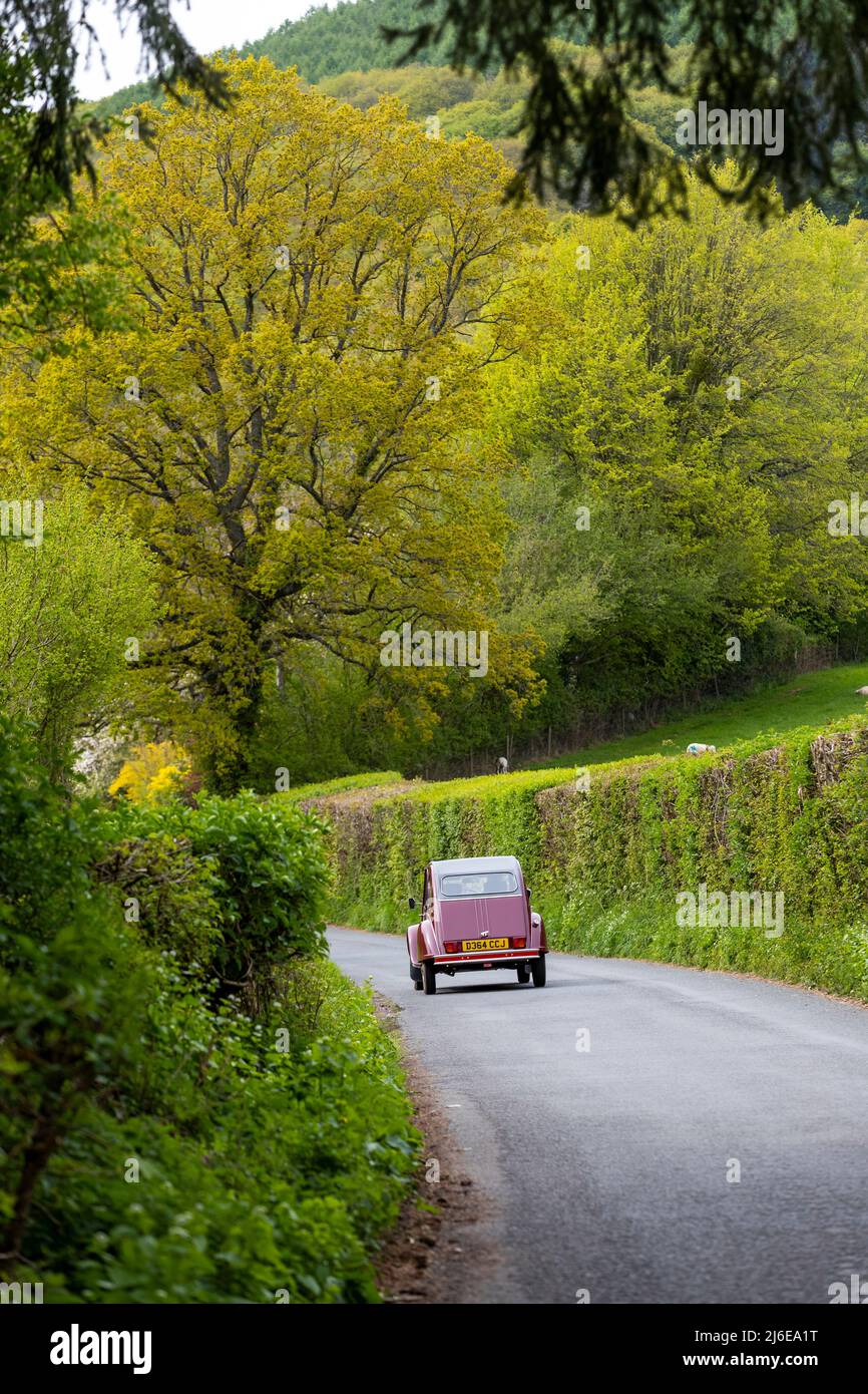 Classic cars on the spring Wye Run through Wales and the Wye Valley