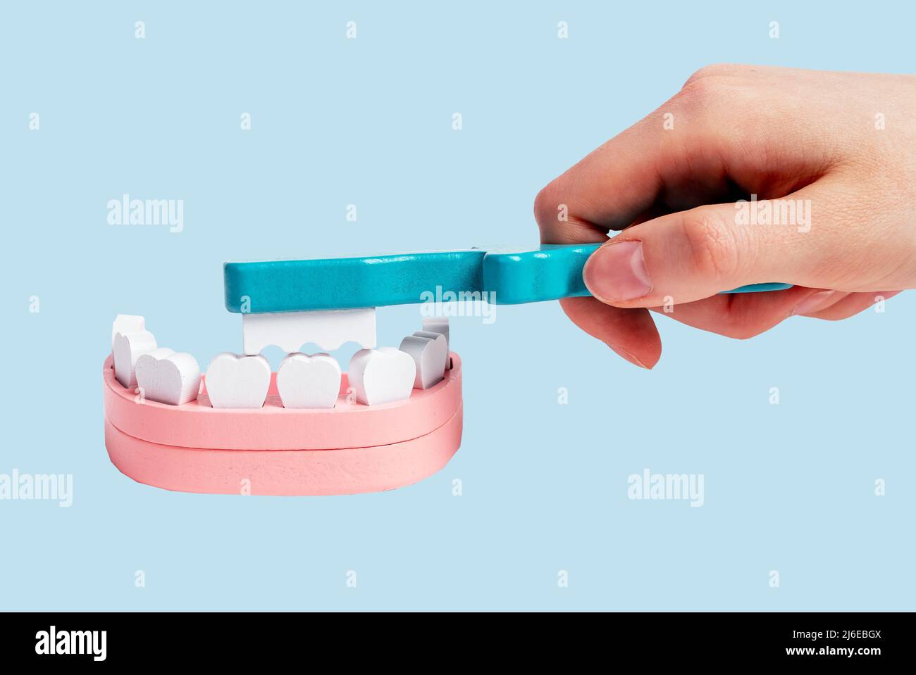 Hand cleaning teeth in jaw model with brush. Dental care, prevention of