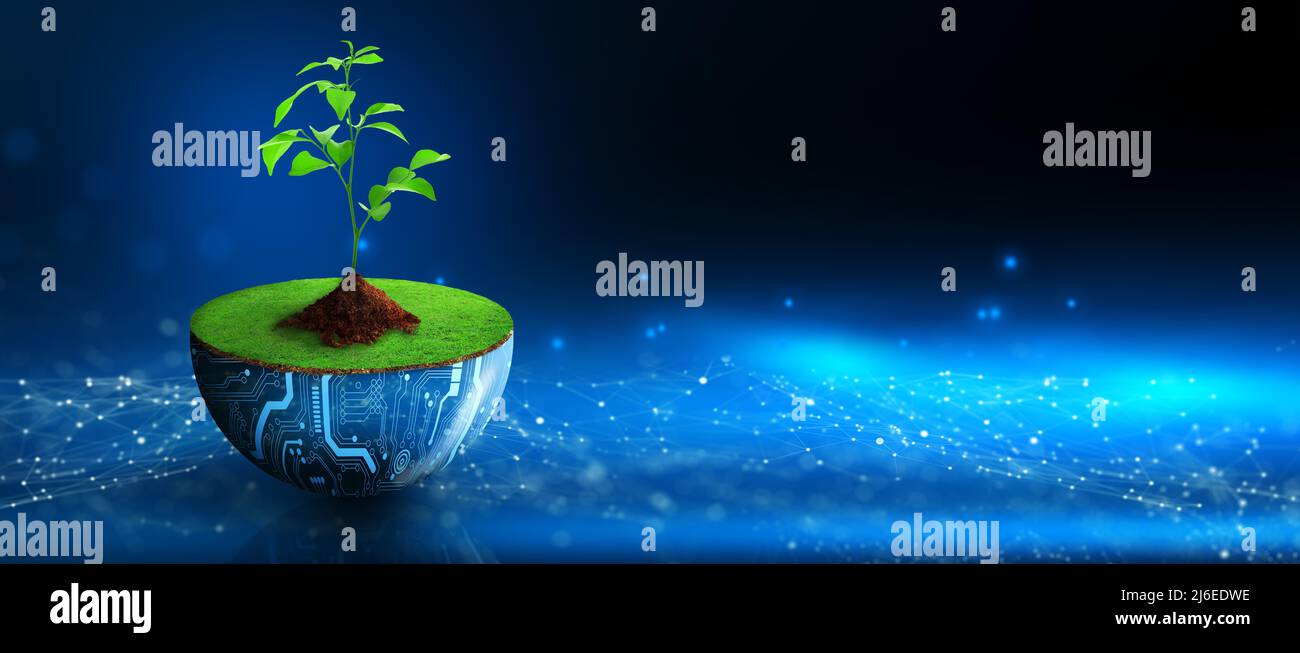 Tree growing on digital plant pot. Eco Technology and Technology ...