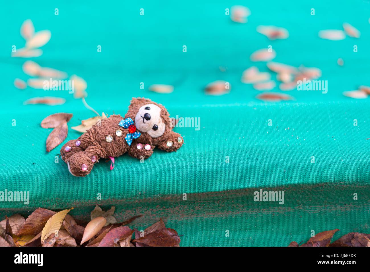 Abandoned stuffed animal lying on a green sandbox cover in a park. Fallen leaves. Stock Photo