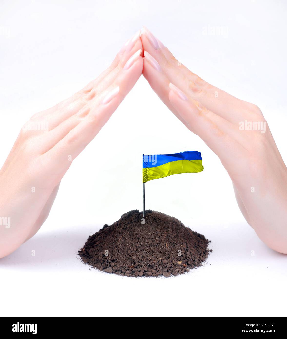 Protecting Ukraine by hands of woman at white background Stock Photo