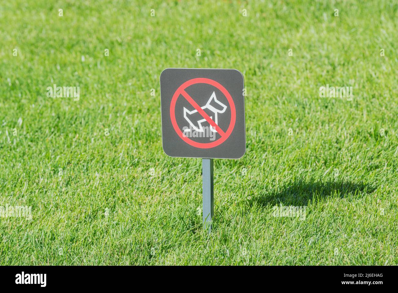 A sign prohibiting dog walking. Pets are not allowed on the lawn Stock