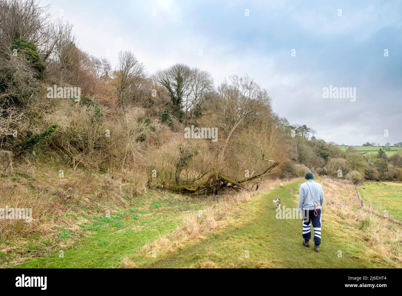 A dog walker on the bank of the old Somerset Coal Canal near Midford, Bath, UK Stock Photo