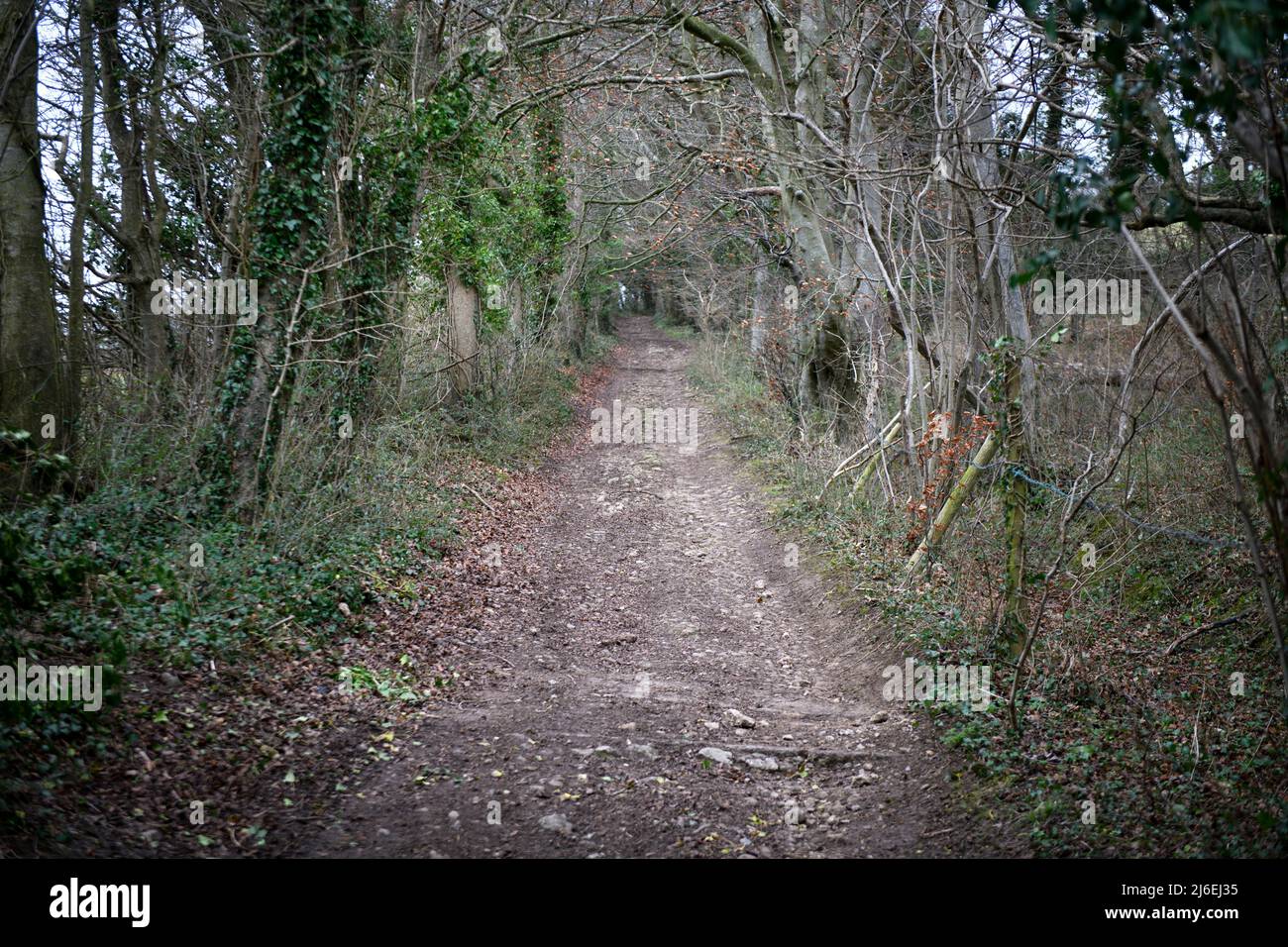 The Fosse Way near Dunkerton, Somerset, UK Stock Photo