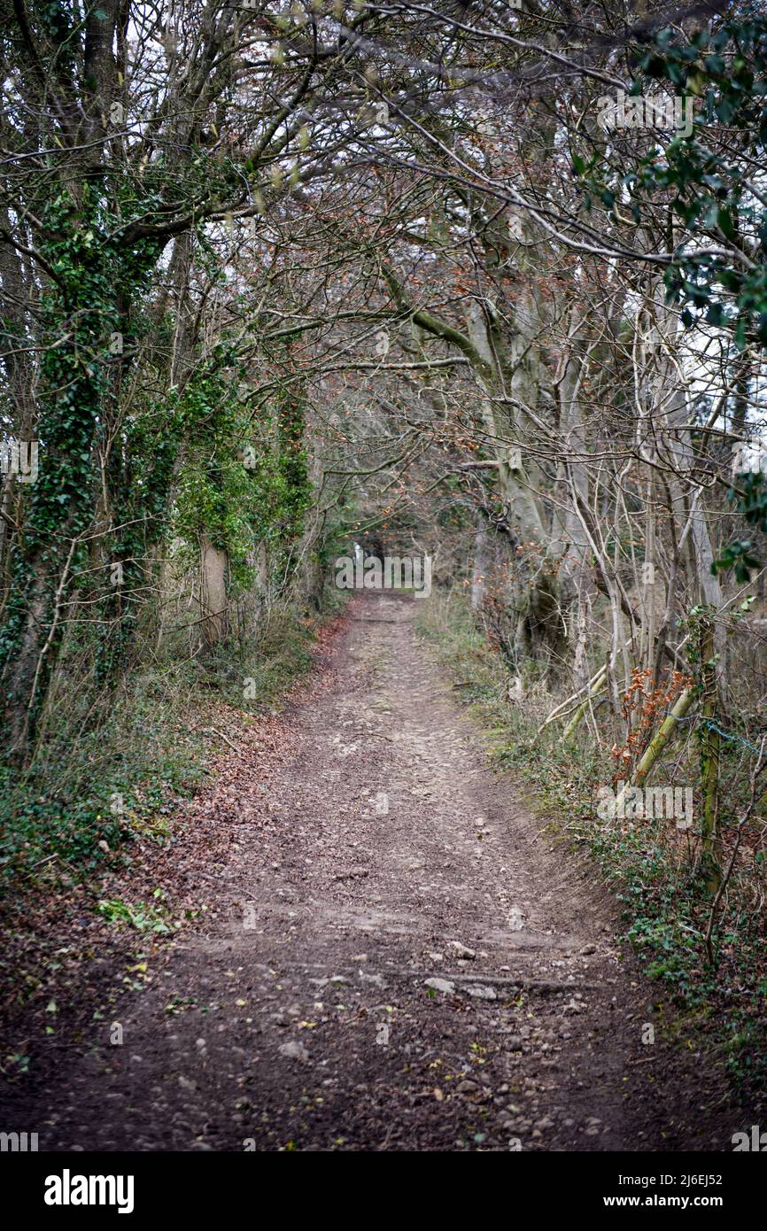 The Fosse Way near Dunkerton, Somerset, UK Stock Photo