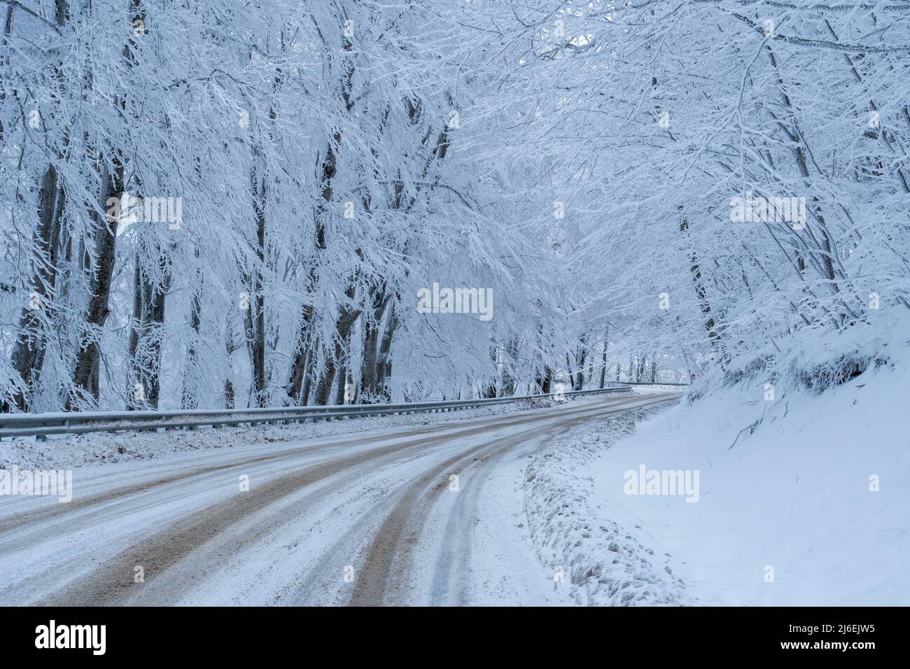 Road in Sabaduri forest with covered snow. Winter time. Landscape. Georgia Stock Photo