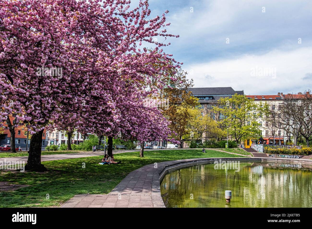 Apartment buildings & blossoms on trees in Spring in public park, Volkspark am Weinberg,Mitte, Berlin, Germany Stock Photo