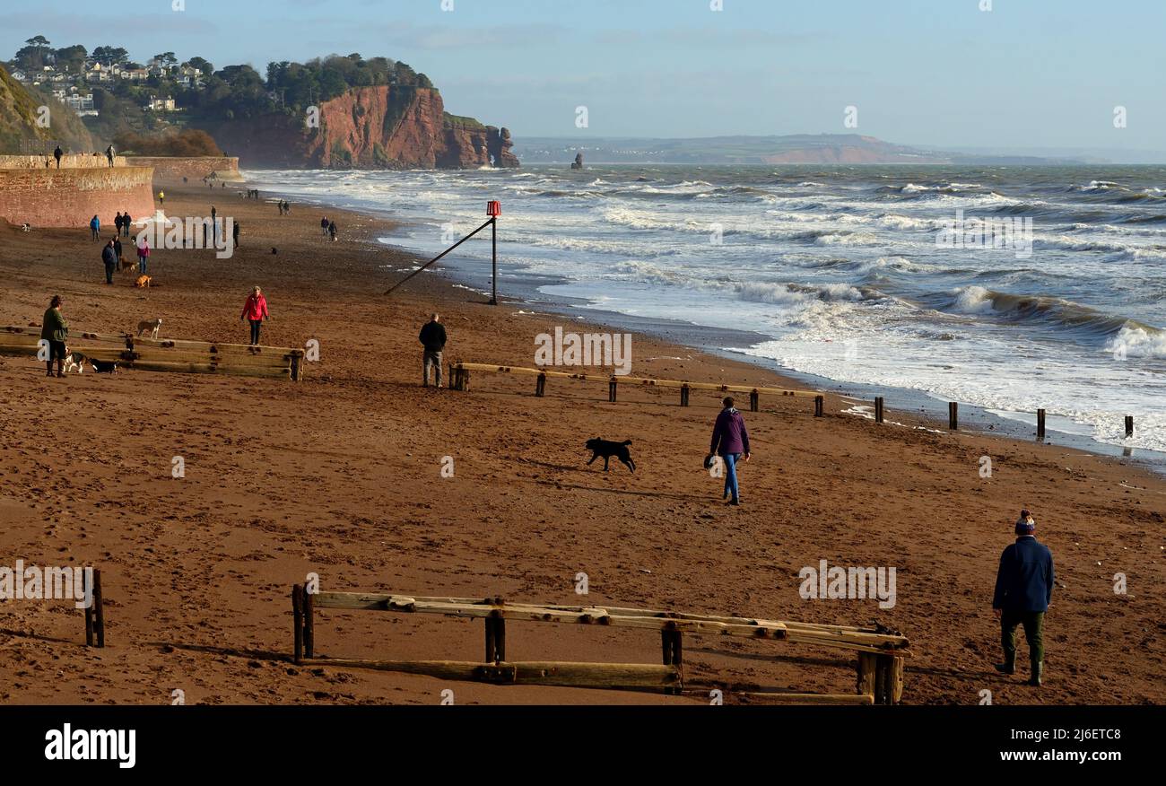People walking on the beach at low tide, Teignmouth, South Devon. Stock Photo
