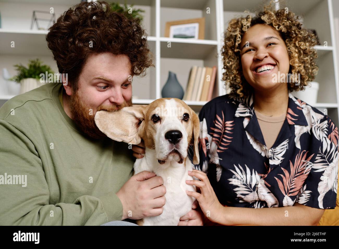 African young woman laughing at man who fooling around with their dog, they sitting in living room Stock Photo