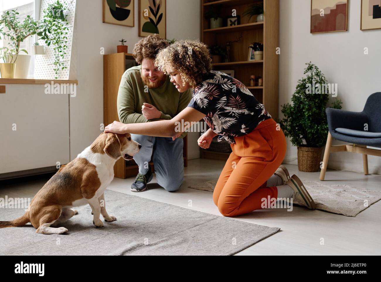 African young woman training her dog and saying it to sit with man watching for process in living room Stock Photo