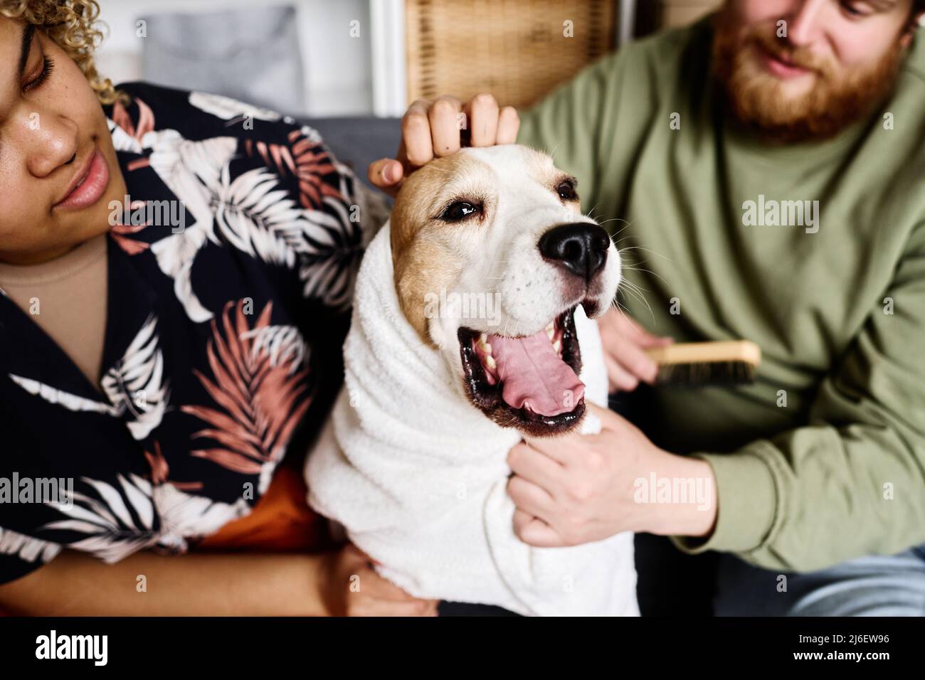 Cute groomed dog in towel after bathing sitting on sofa with her owners