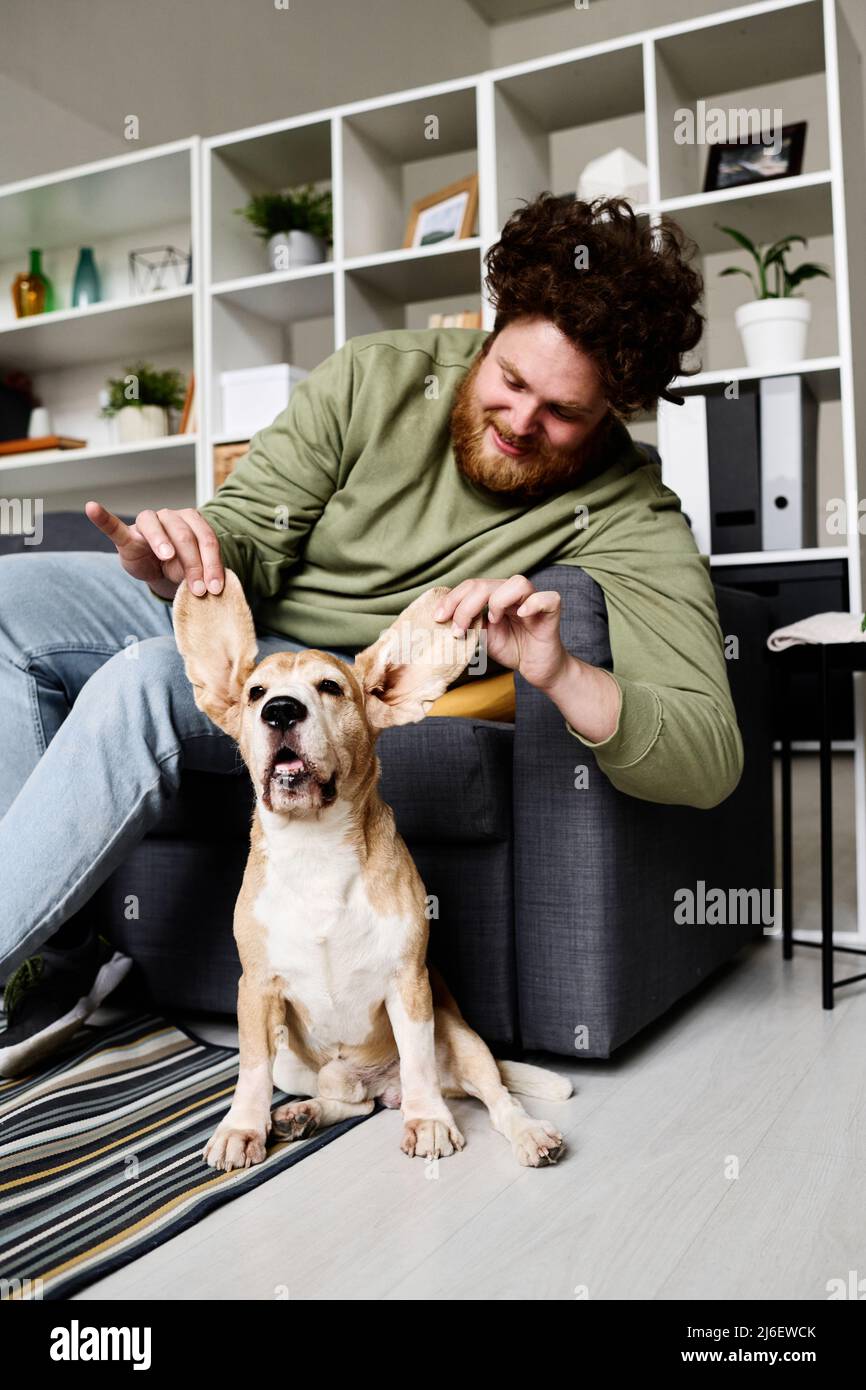 Young bearded man sitting on sofa and playing with his dog pulling his big ears Stock Photo