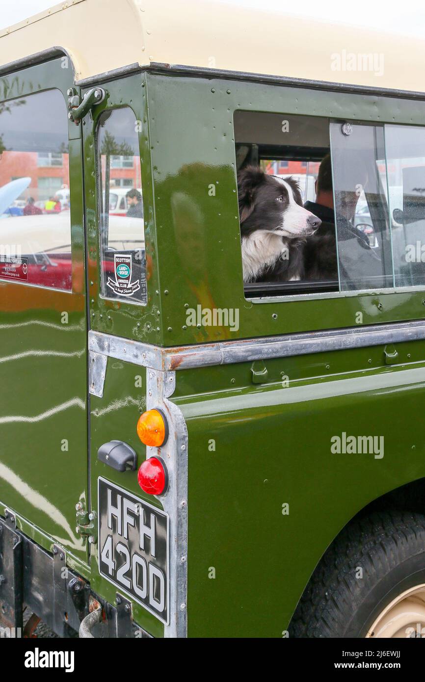 Rover vintage car hires stock photography and images Alamy