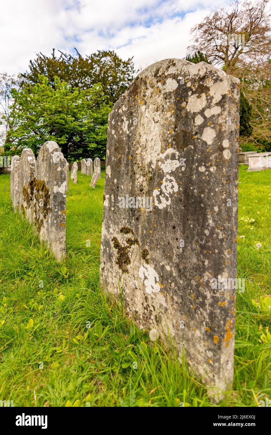 A line of Lichen encrusted headstones, probably dating back to the 19th Century. Stock Photo