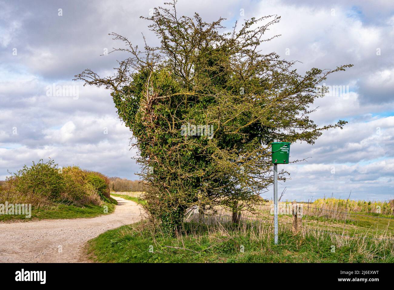 Pictured in the South Downs National Park, a bird feeder is in place to feed the smaller farmland birds - West Sussex, southern England, UK. Stock Photo