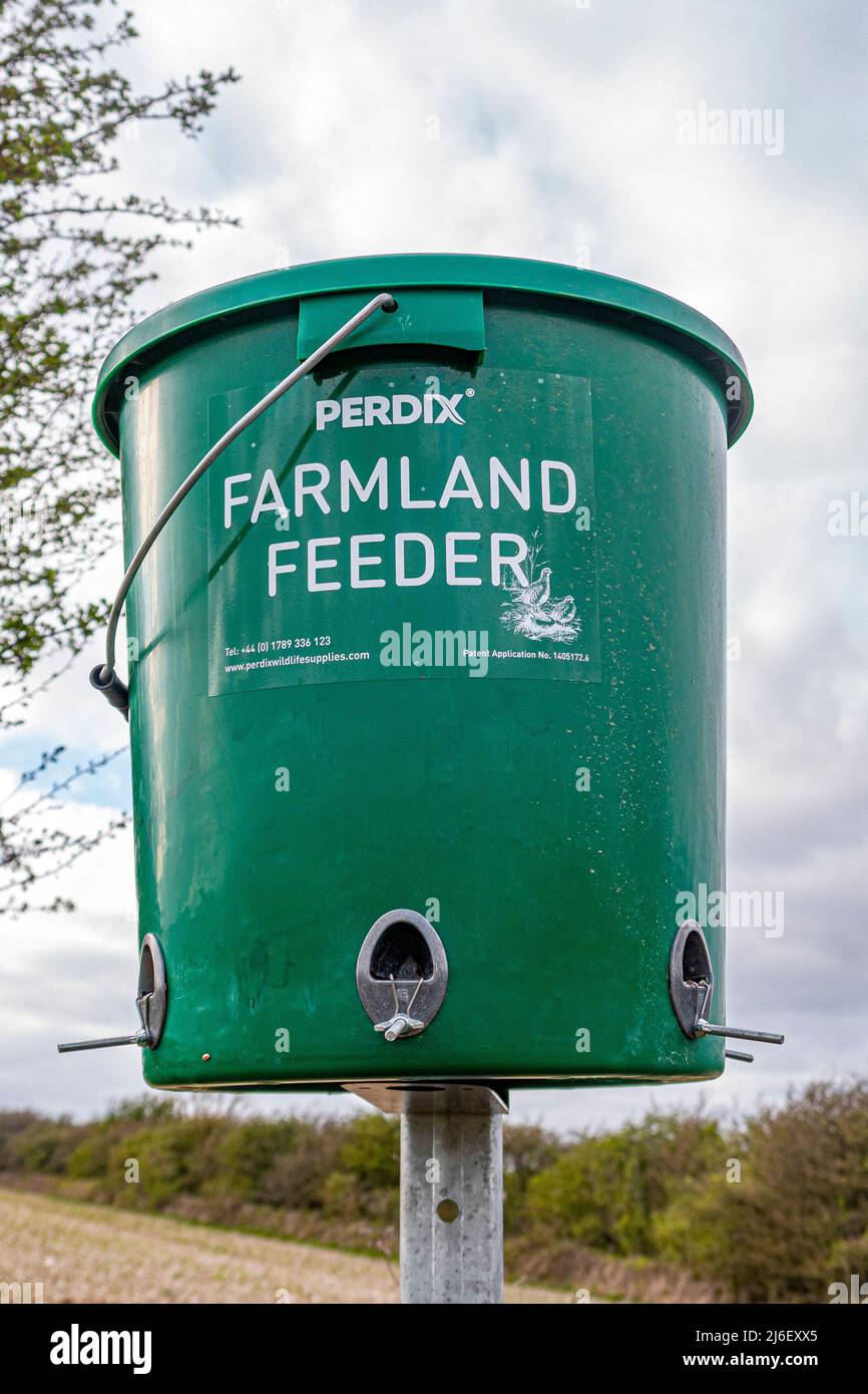 Pictured in the South Downs National Park, a bird feeder is in place to feed the smaller farmland birds - West Sussex, southern England, UK. Stock Photo