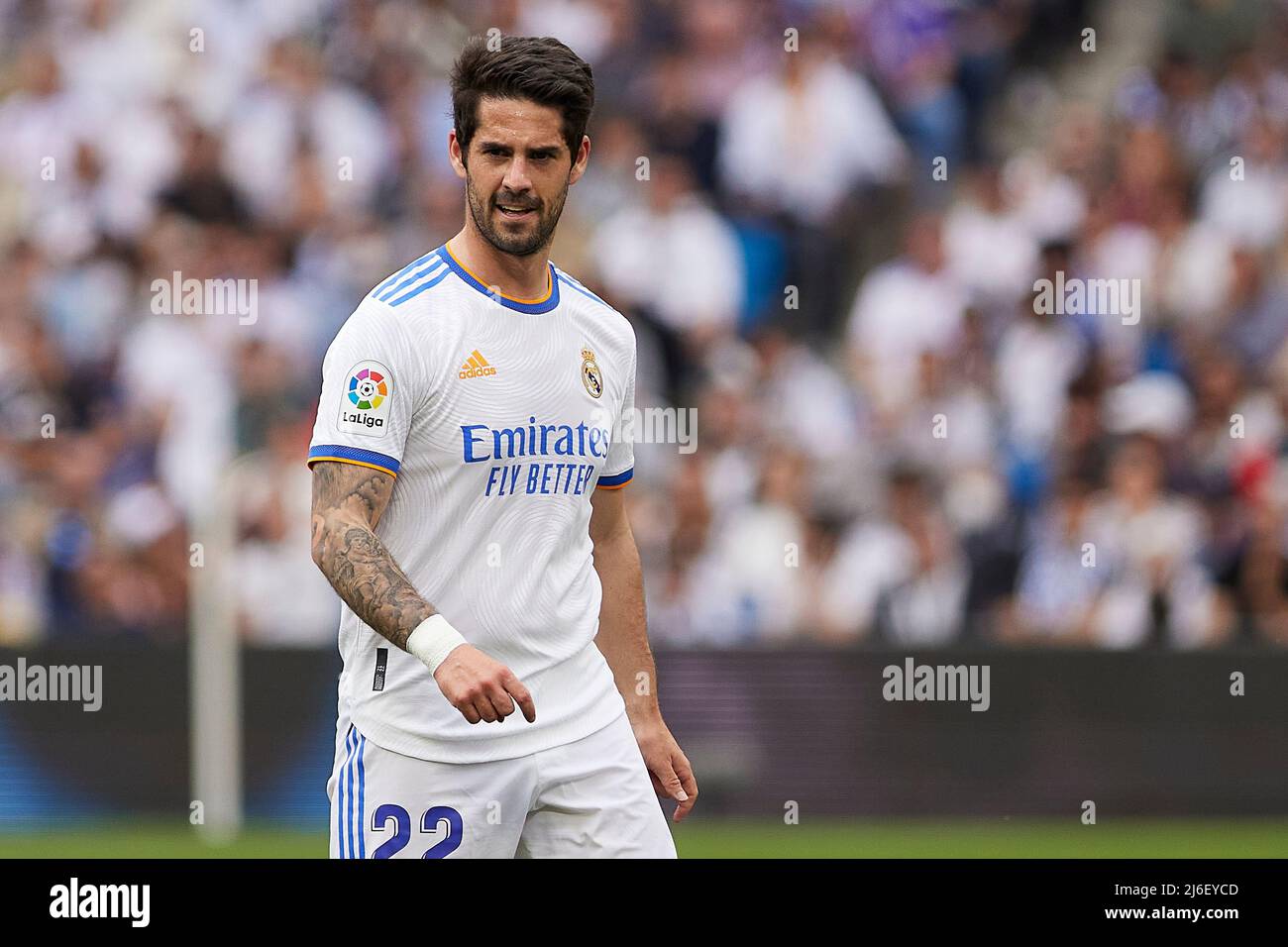 Isco hi-res stock photography and images - Alamy
