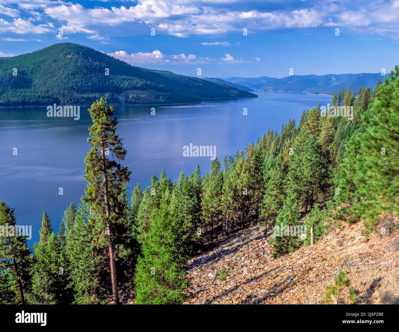 lake koocanusa near libby, montana Stock Photo Alamy