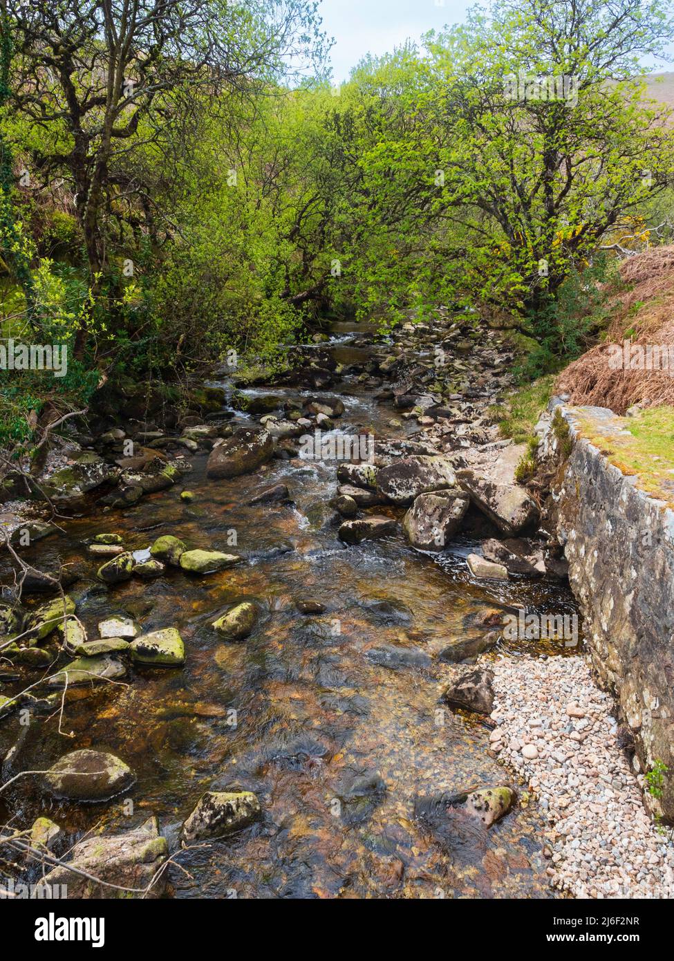 Spring view of the River Avon, Dartmoor, Devon, UK on the section between Shipley Bridge and the Avon Dam Stock Photo