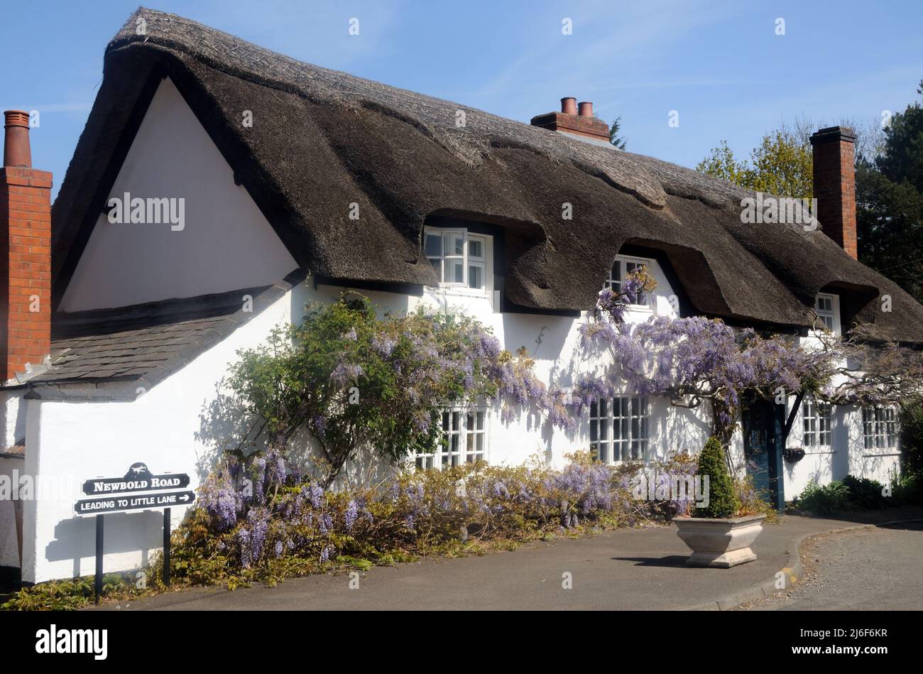 !7th c. (Grade II listed) thatched cottage with wisteria in Desford, Leicestershire, England Stock Photo