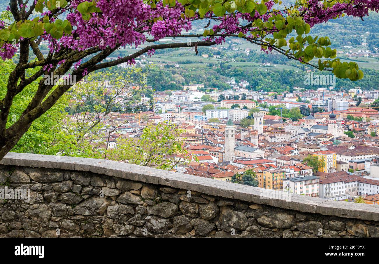 Beautiful panoramic view of Trento during spring time. Trentino Alto Adige, northern Italy. Stock Photo