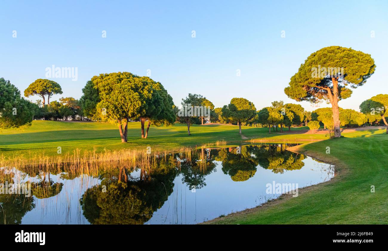 Beautiful evening sun on golf course Stock Photo