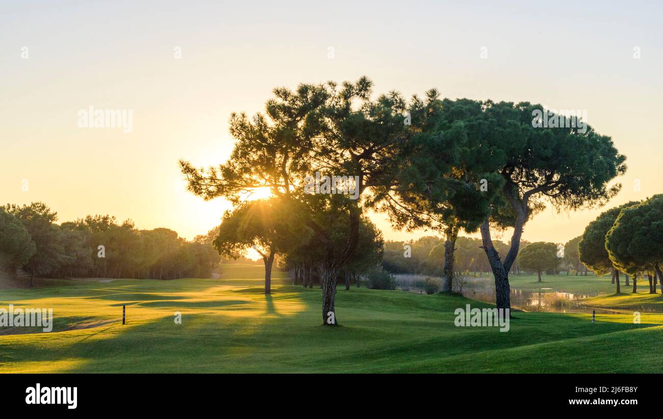 Beautiful evening sun on golf course Stock Photo