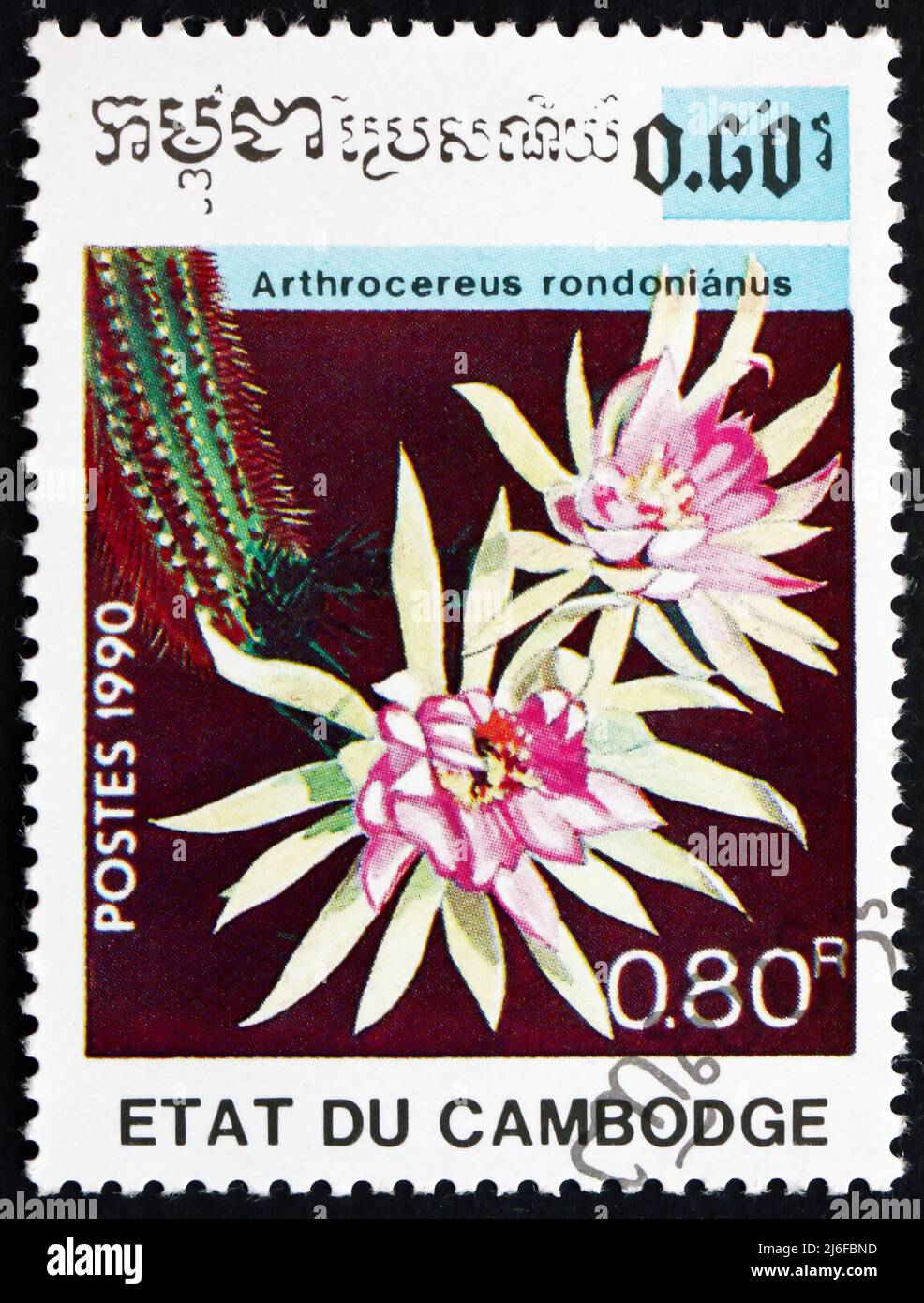 CAMBODIA - CIRCA 1990: a stamp printed in Cambodia shows Arthrocereus Rondonianus, is a Species of Cactus Endemic to Brazil, circa 1990 Stock Photo