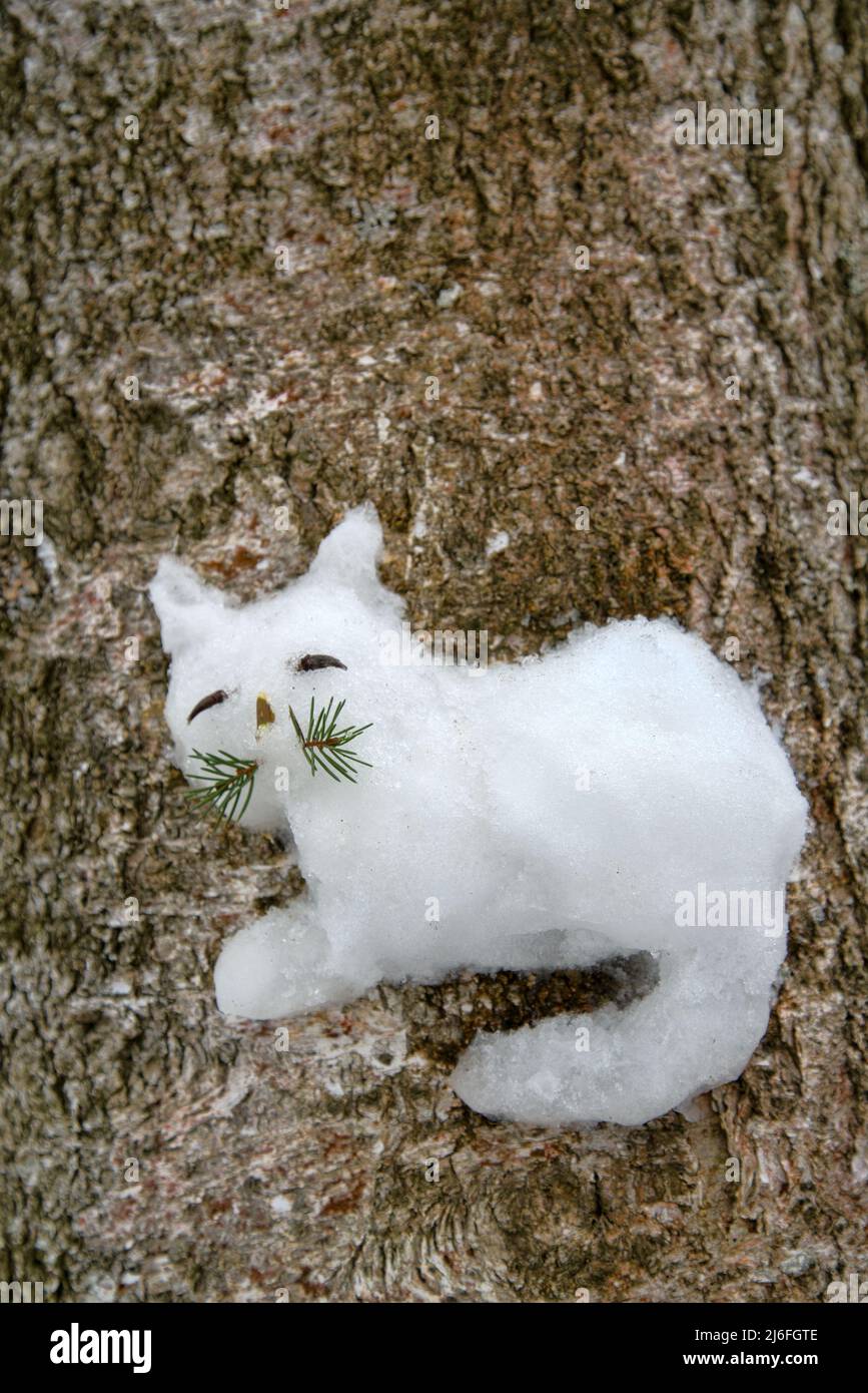 Children's creative approach. The children stuck a snow figure of a cat on a tree (like a high relief). Stock Photo
