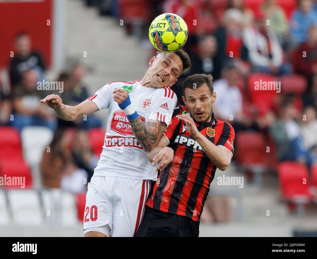 BUDAPEST, HUNGARY - MARCH 6: (l-r) Jaroslav Navratil of Kisvarda