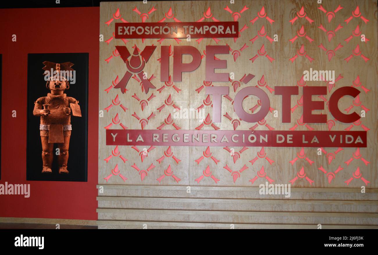 Temporary Exhibition of Xipe Totec and the life Regeneration in the Templo Mayor Museum. Mexico City Stock Photo