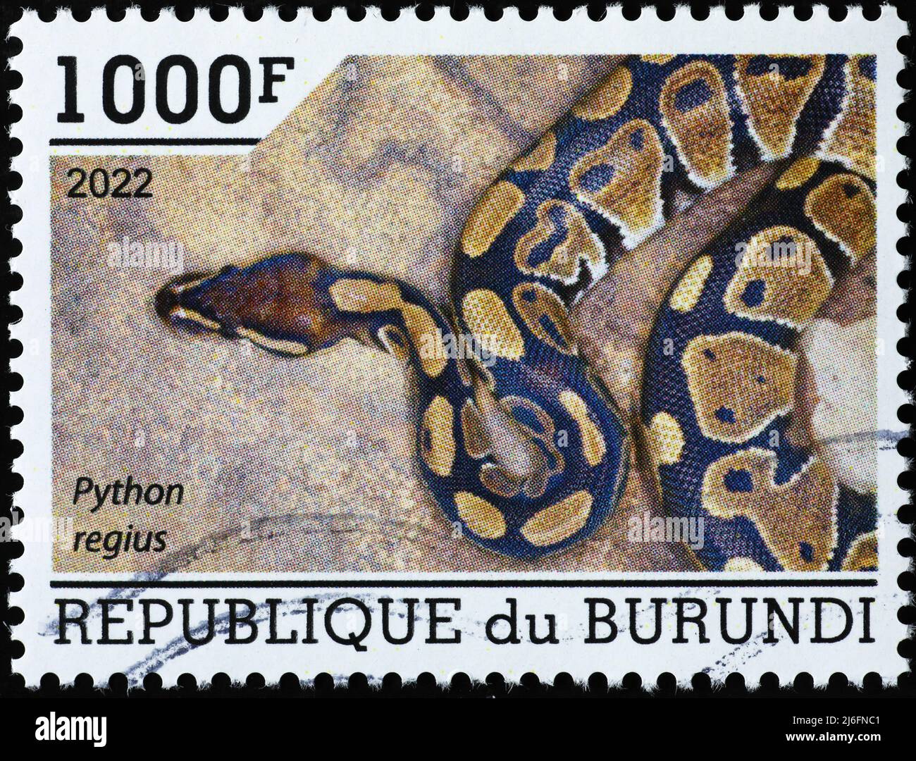 Ball python on postage stamp from Burundi Stock Photo - Alamy