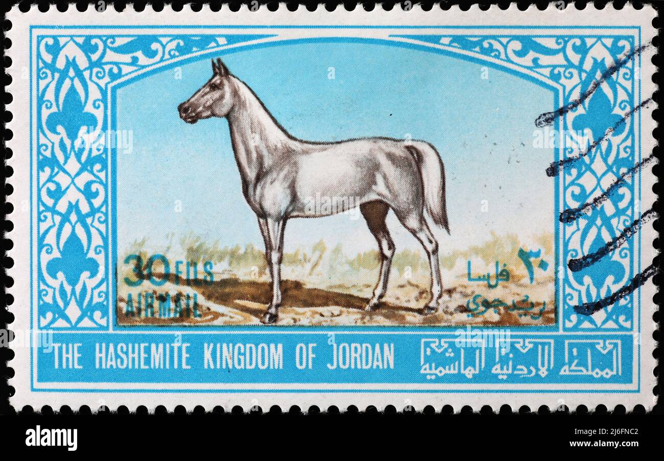 Arab horse on jordan postage stamp Stock Photo