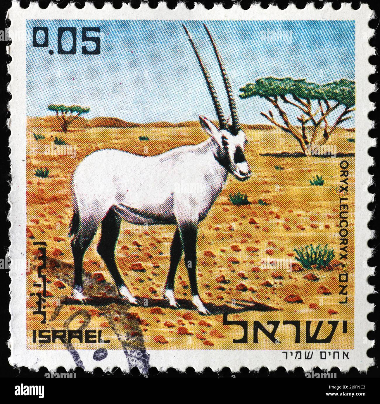 Arabian oryx on israeli postage stamp Stock Photo
