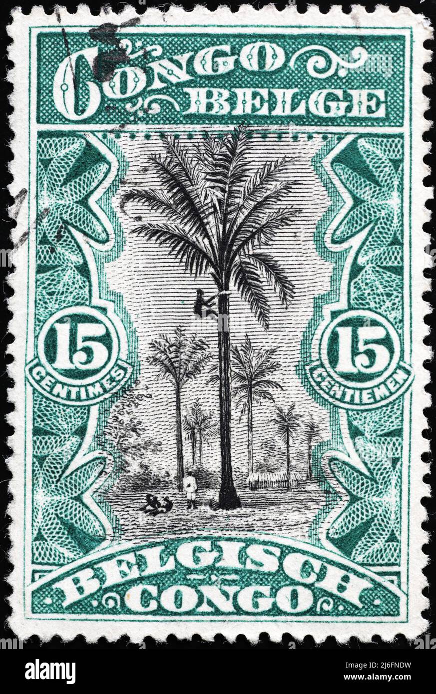 Beautiful vintage stamp from Belgian Congo with a palm tree Stock Photo