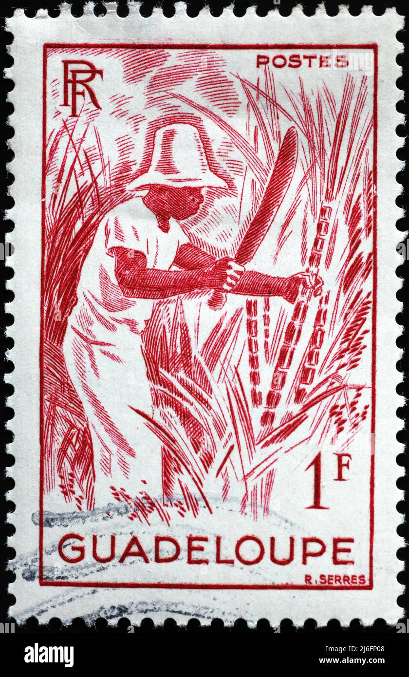 Farmer harvesting sugar cane on vintage stamp from Guadeloupe Stock Photo