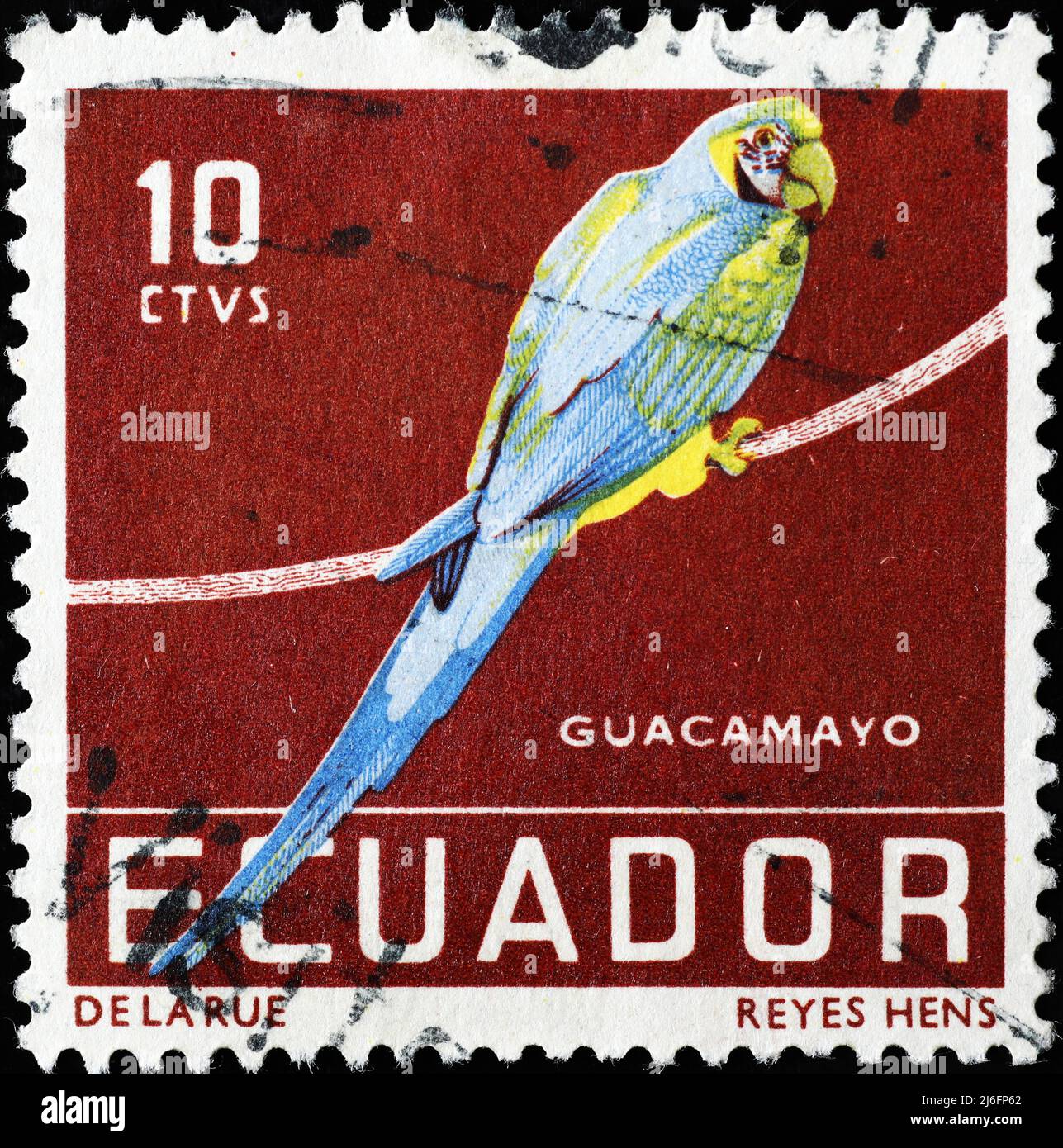 Macaw on postage stamp of Ecuador Stock Photo