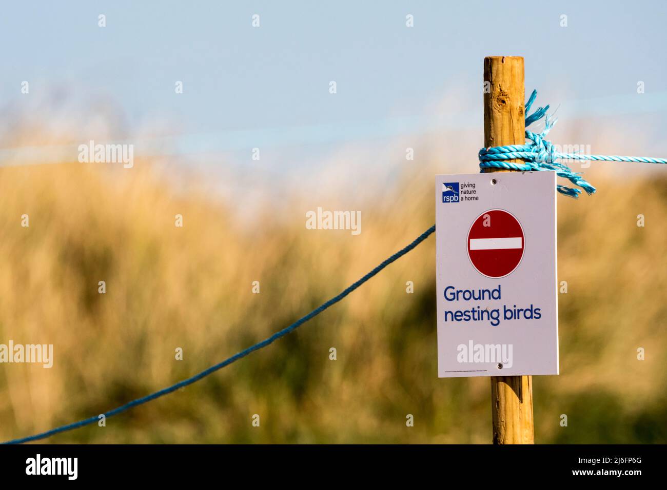 RSPB Ground Nesting Birds sign at Snettisham Beach on the shores of The Wash in Norfolk. DETAILS IN DESCRIPTION. Stock Photo