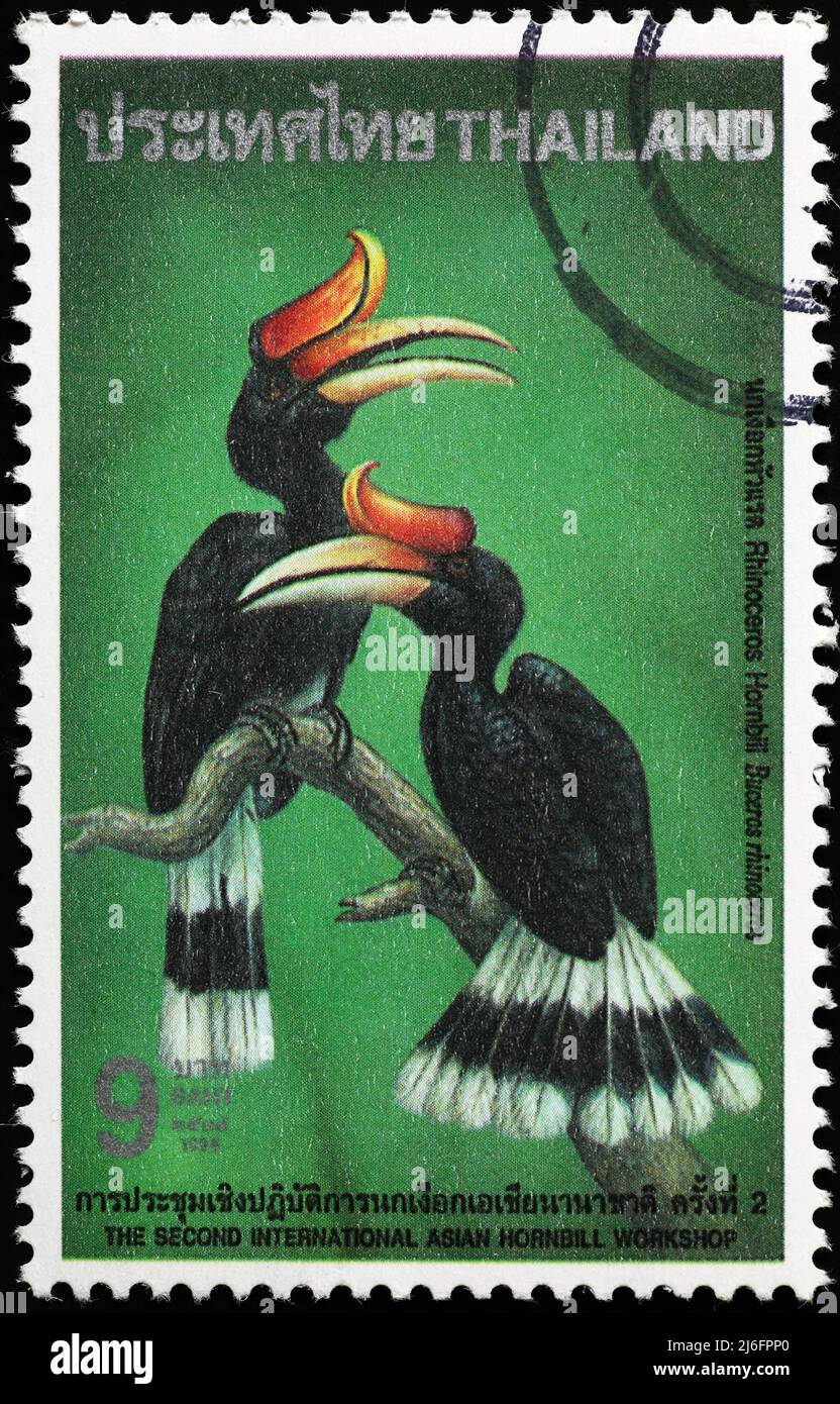 Rhinoceros hornbills on thai postage stamp Stock Photo