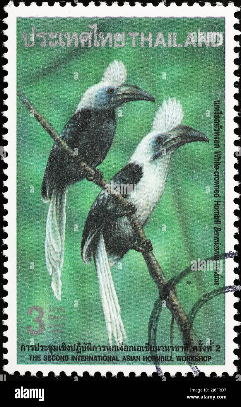 White-crowned hornbills on thai postage stamp Stock Photo