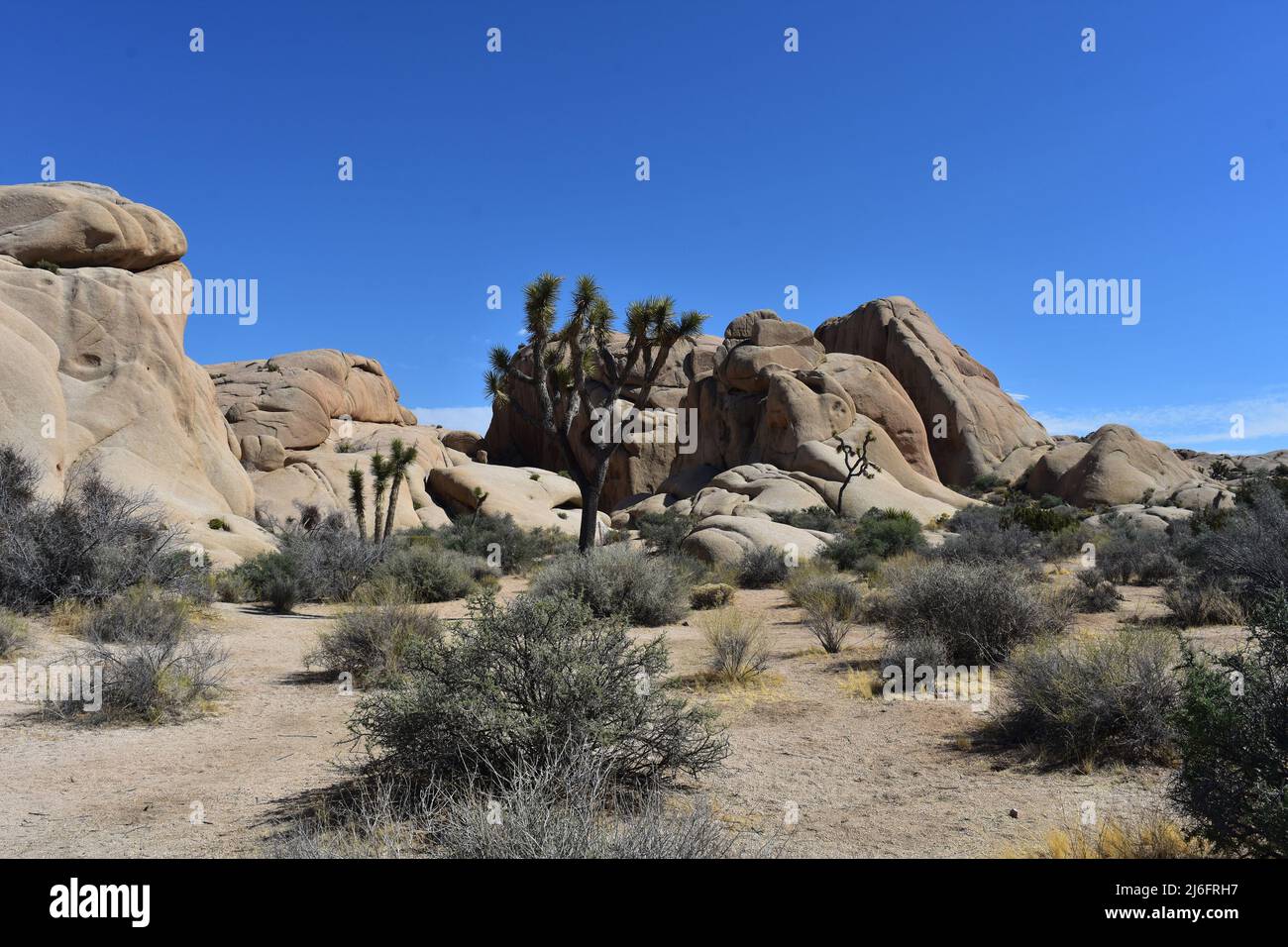 Rural Mojave desert barren landscape in California Stock Photo - Alamy